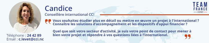 Conseillère international