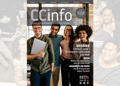 CCI-info