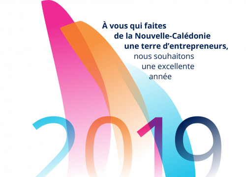 La CCI vous souhaite une bonne année 2019