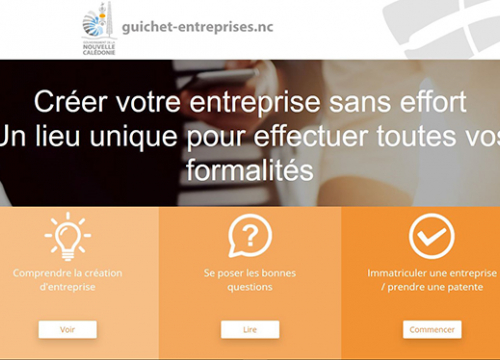 Entreprise individuelle, patente : faites vos formalités en ligne !