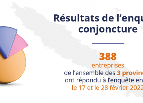 visuel enquête conjoncture février 2022