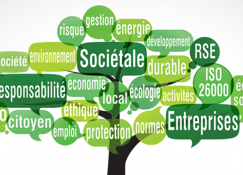 RSE - Responsabilité sociétale des entreprises 