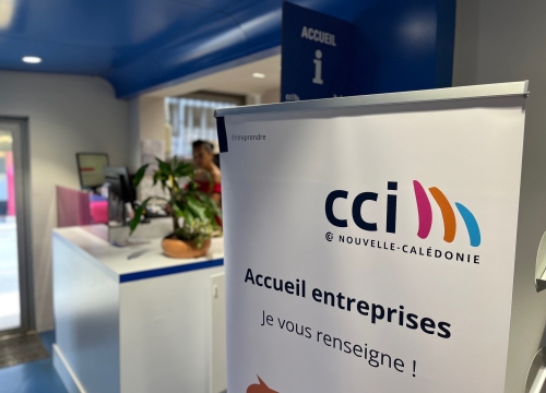 accueil CCI 1