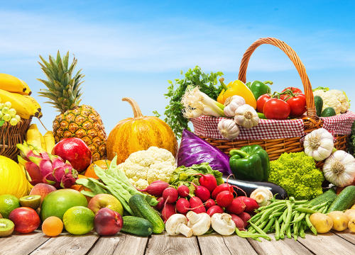 concours-étals-fruits-légumes-IFEL