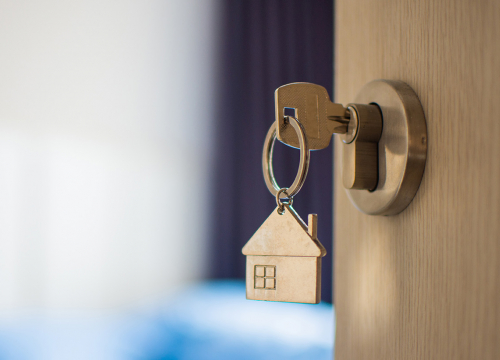 panorama-immobilier-2019