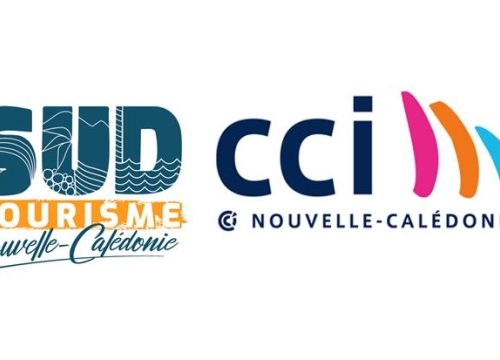 logos Sud tourisme et CCI