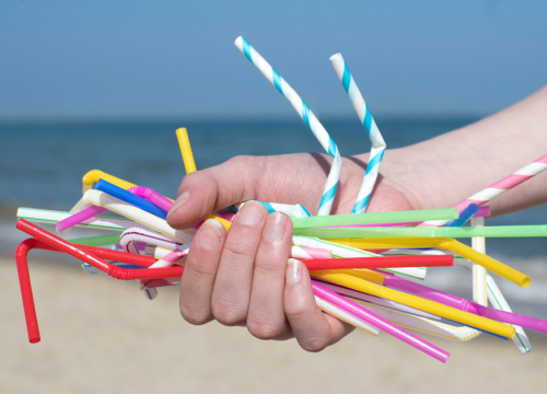 plastique à usage unique