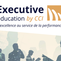 Executive CCI