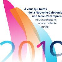 La CCI vous souhaite une bonne année 2019