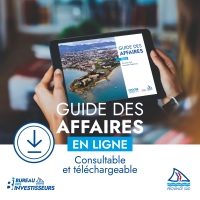 DDET guide des affaires 2023