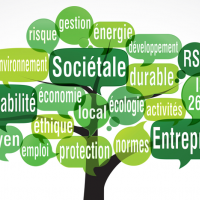 RSE - Responsabilité sociétale des entreprises 