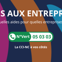 Quelles aides pour quelles entreprises ?