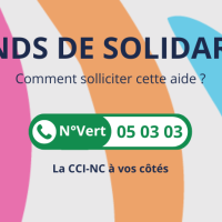 Un tutoriel pour vous aider dans votre demande du Fonds de solidarité