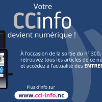 Nouveau ! Votre magazine CCI Info passe au numérique 