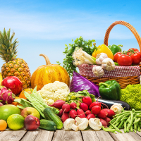 concours-étals-fruits-légumes-IFEL