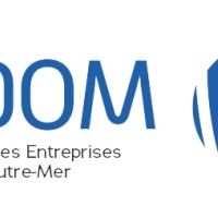 logo FEDOM