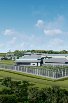 visuel futur centre de détention de Koné