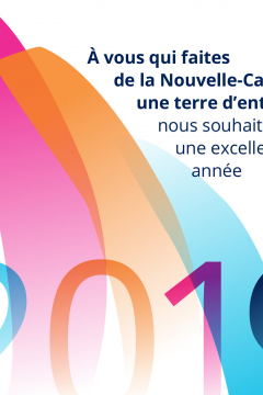 La CCI vous souhaite une bonne année 2019