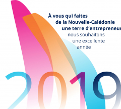 La CCI vous souhaite une bonne année 2019