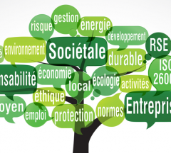 RSE - Responsabilité sociétale des entreprises 