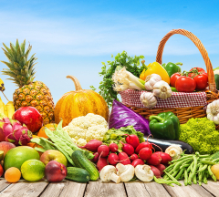 concours-étals-fruits-légumes-IFEL
