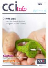 CCI Info n°262 septembre 2017