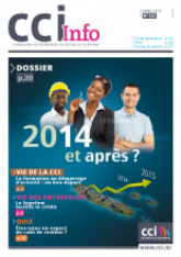 CCI Info n° 212 mars 2013