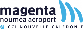 Aéroport de Nouméa-Magenta