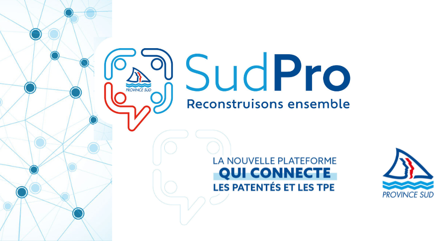 visuel SUDPRO