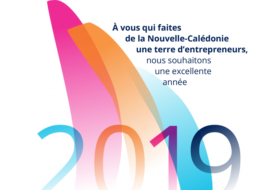 La CCI vous souhaite une bonne année 2019