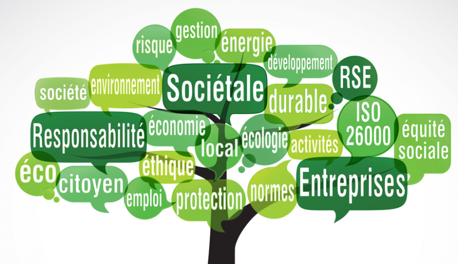 RSE - Responsabilité sociétale des entreprises 