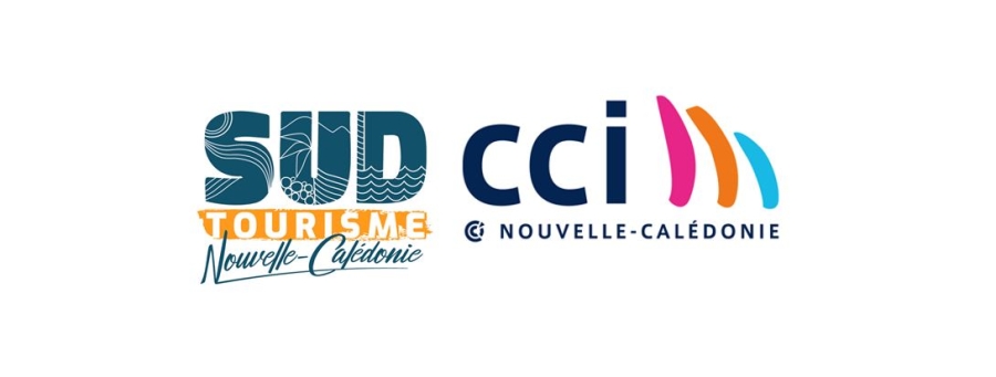 logos Sud tourisme et CCI
